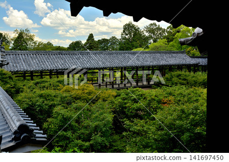 京都·東福寺 141697450