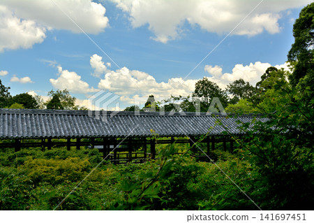 京都·東福寺 京都·東福寺 141697451