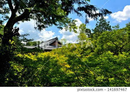 Kyoto · Tofukuji Kyoto · Tofukuji 141697467