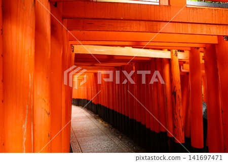 Fushimi Inari Taisha Shrine and iconic torii gates in Kyoto Japan 141697471