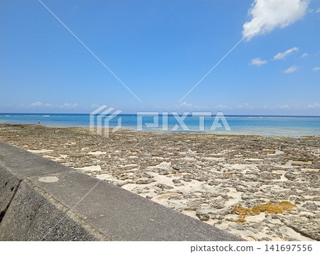 Road to the sea Road to the sea 141697556