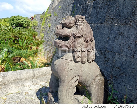 Shisa Shisa 141697559