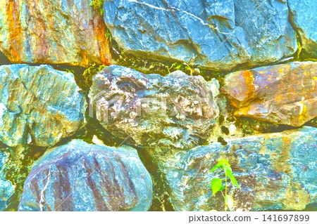 Colorful abstract textures of stone walls and plants adorned in blue and yellow. 141697899