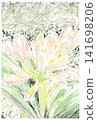 Postcard-sized hand-drawn illustration of Clivia 141698206