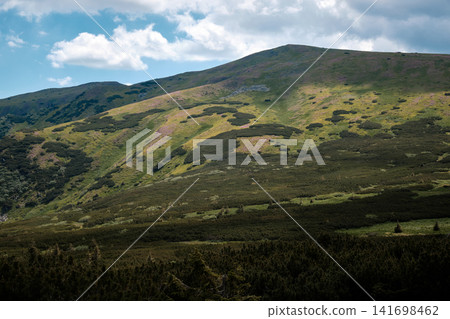 A scenic view of rolling mountain slopes covered with green meadows, alpine pine shrubs, and patches of wild flowers under a bright blue sky with scattered clouds. A scenic view of rolling mountain slopes covered with green meadows, alpine pine shrubs, and patches of wild flowers under a bright blue sky with scattered clouds. 141698462