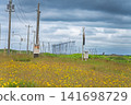 Summer at Otonrui Wind Power Plant, Horonobe Town, Hokkaido 141698729