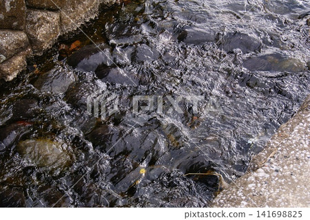 Color River Water Stone Rock (Registered August 2026) Color River Water Stone Rock (Registered August 2026) 141698825
