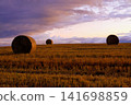 Wheat field dyed in the sunset 141698859