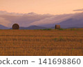Wheat field in the sunset 141698860