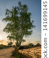 Westruper Heide, Haltern, North Rhine Westphalia, Germany 141699145