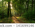 Westruper Heide, Haltern, North Rhine Westphalia, Germany 141699146