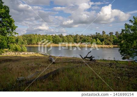 Diersfordter forest, Wesel, North Rhine Westphalia, Germany Diersfordter forest, Wesel, North Rhine Westphalia, Germany 141699154