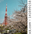 東京塔和櫻花 141699158