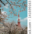 東京塔和櫻花 141699163