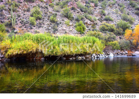 Salt River Recreation Area Arizona Salt River Recreation Area Arizona 141699689