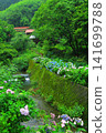 Hydrangeas at Minamisawa Hydrangea Mountain in Akiruno City 141699788