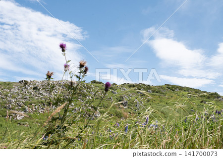 Landscape of blue sky and hills Landscape of blue sky and hills 141700073