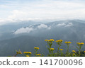 Mountains, a sea of clouds, and yellow flowers 141700096