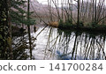 Scenery reflected on the surface of the water 141700284