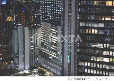 April 24 2026 Distant Shinjuku Skyscraper Horizon Night View 141700300
