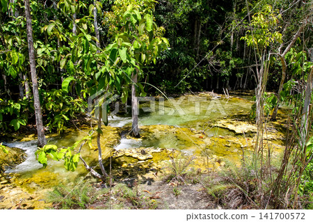 Turquoise Mineral Stream Flowing Through Tropical Rainforest Turquoise Mineral Stream Flowing Through Tropical Rainforest 141700572