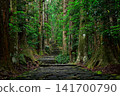 The tranquil scenery of Daimonzaka, the pilgrimage route leading to Kumano Nachi Taisha Shrine. 141700790