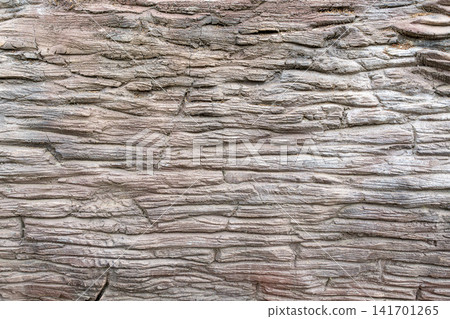 Wood texture showing natural patterns from a tree Wood texture showing natural patterns from a tree 141701265