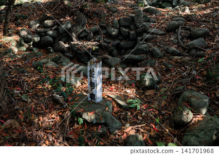 Sashie Tumulus Cluster, a historical site in Nagashima Town, Izumi District, Kagoshima Prefecture Sashie Tumulus Cluster, a historical site in Nagashima Town, Izumi District, Kagoshima Prefecture 141701968