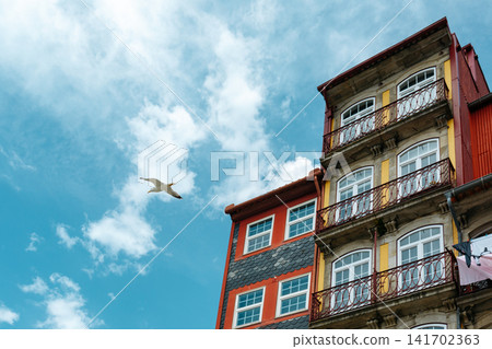 Colorful Historic Building Facades with Seagull Flying Over Porto Portugal 141702363