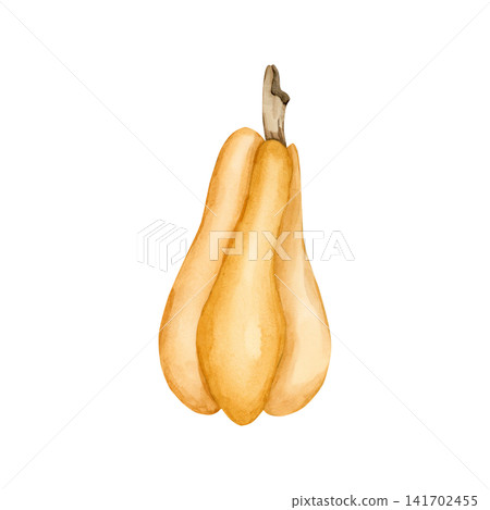 Yellow Pumpkin Gourd. Autumn garden vegetable. Watercolor hand drawn floral food illustration isolated on white background for fall design home kitchen textile cozy prints porcelain crockery package Yellow Pumpkin Gourd. Autumn garden vegetable. Watercolor hand drawn floral food illustration isolated on white background for fall design home kitchen textile cozy prints porcelain crockery package 141702455