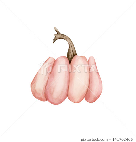 Pink Pumpkin Gourd. Autumn garden vegetable. Watercolor hand drawn floral food illustration isolated on white background for fall design home kitchen textile cozy prints porcelain crockery package Pink Pumpkin Gourd. Autumn garden vegetable. Watercolor hand drawn floral food illustration isolated on white background for fall design home kitchen textile cozy prints porcelain crockery package 141702466