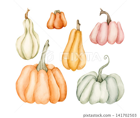 Cute Pumpkin Gourd Set. Autumn garden vegetable. Watercolor hand drawn floral food illustration isolated on white background for fall design home kitchen textile cozy print porcelain crockery package Cute Pumpkin Gourd Set. Autumn garden vegetable. Watercolor hand drawn floral food illustration isolated on white background for fall design home kitchen textile cozy print porcelain crockery package 141702503