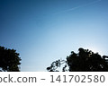 The sun shines brightly in the clear blue sky, and weeping cherry blossoms are illuminated by the sunlight. 141702580