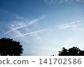 Under a clear blue sky, the slender bamboo stalks have grown exceptionally tall. 141702586