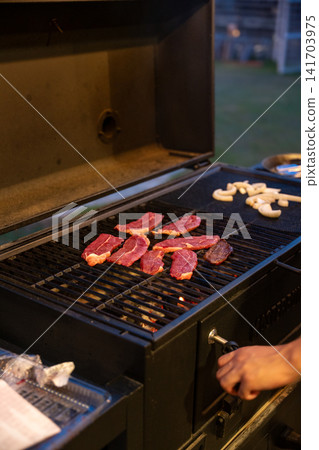 戶外烤肉!用木炭烤製的肉類。 戶外烤肉!用木炭烤製的肉類。 141703975