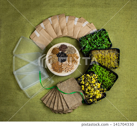 Complete home microgreens growing kit is arranged in circular composition on textured green linen surface. Microgreens growing kit with sprouted trays Complete home microgreens growing kit is arranged in circular composition on textured green linen surface. Microgreens growing kit with sprouted trays 141704330
