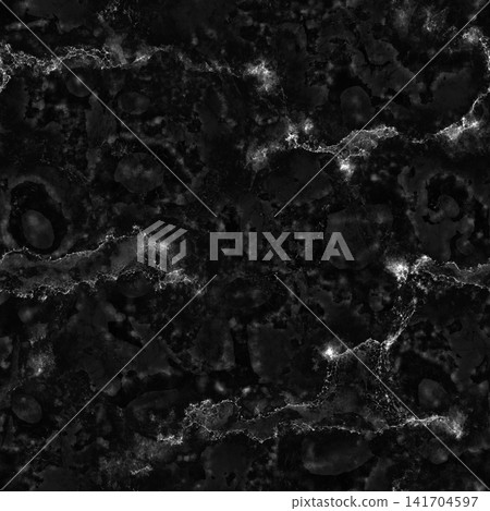 Dark Black Marble with Glowing White Veins 141704597