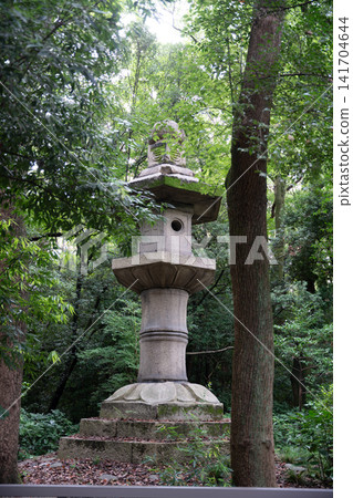 Moss-covered stone lanterns and a forest of fresh green leaves Moss-covered stone lanterns and a forest of fresh green leaves 141704644