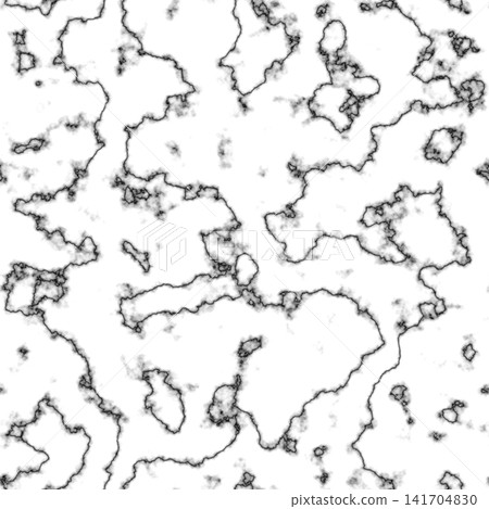 Cracked Marble Texture and Grayscale Height Map Dual View Cracked Marble Texture and Grayscale Height Map Dual View 141704830