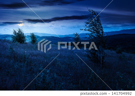 tree on a field in mountain landscape at night. full moon over green countryside of ukraine in summer. cloudy weather. carpathian landscape in dappled light. mysterious carpathian highland tree on a field in mountain landscape at night. full moon over green countryside of ukraine in summer. cloudy weather. carpathian landscape in dappled light. mysterious carpathian highland 141704992
