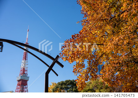 Tokyo Tower and autumn leaves against the autumn sky Tokyo Tower and autumn leaves against the autumn sky 141705473
