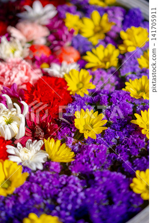 Colorful flowers Colorful flowers 141705911