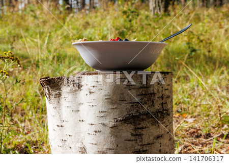 Wild berry muesli breakfast on birch stump in finnish forest  near Hamina, Finland. Rustic outdoor breakfast. 141706317