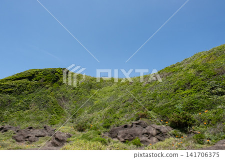 抬頭望向神奈川縣城島綠意盎然的山丘。 141706375