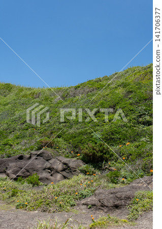 抬頭望向神奈川縣城島綠意盎然的山丘。 抬頭望向神奈川縣城島綠意盎然的山丘。 141706377