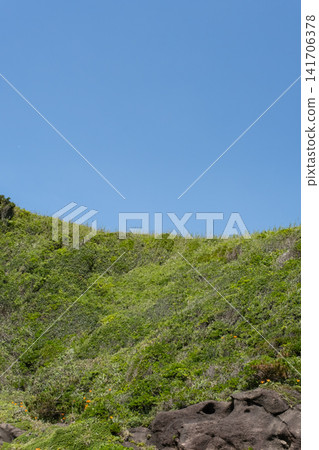 抬頭望向神奈川縣城島綠意盎然的山丘。 抬頭望向神奈川縣城島綠意盎然的山丘。 141706378