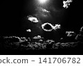 A monochrome, high-contrast sky 141706782