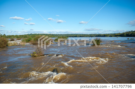 The waterscape of the upper Iguazu River, winding through sandbars in the shrubs. 141707796
