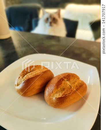 Fresh golden buns on a white plate and a cat in the background. Fresh golden buns on a white plate and a cat in the background. 141707917
