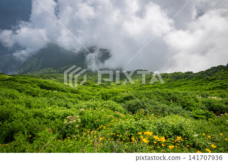 北海道黑岳登山途中的風景 141707936